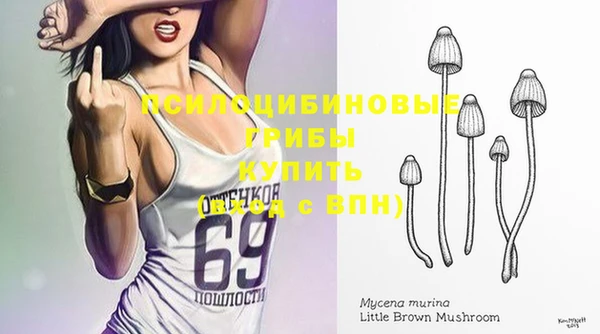 трава Армянск