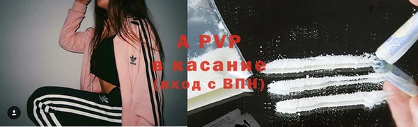 дживик Арсеньев