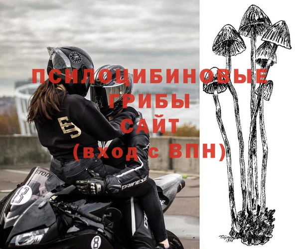 трава Армянск
