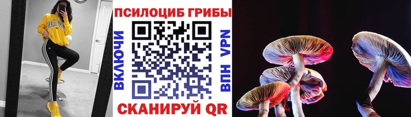 как найти закладки  Коломна  мориарти официальный сайт  Галлюциногенные грибы GOLDEN TEACHER  блэк спрут  