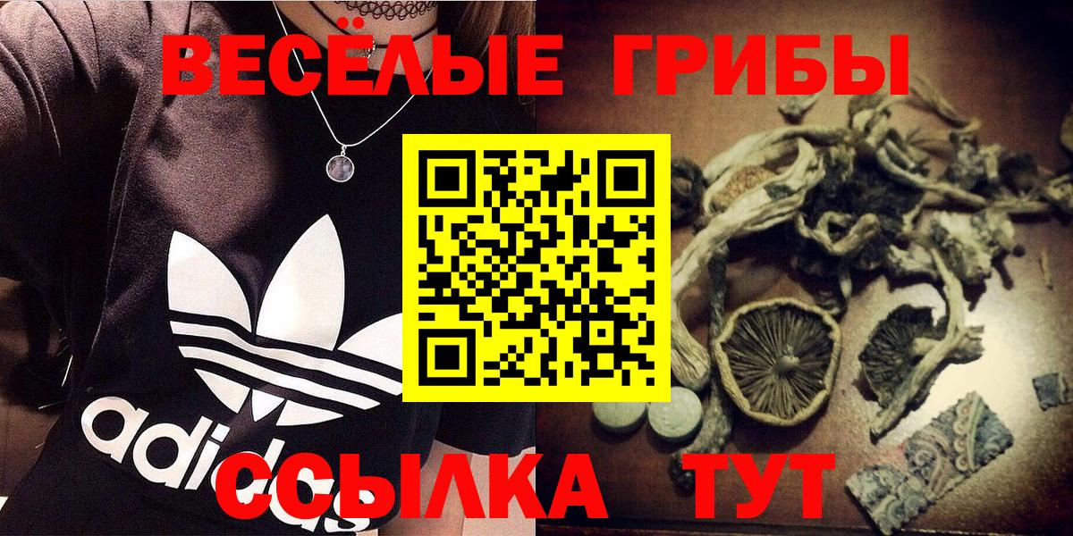 Галлюциногенные грибы прущие грибы Коломна